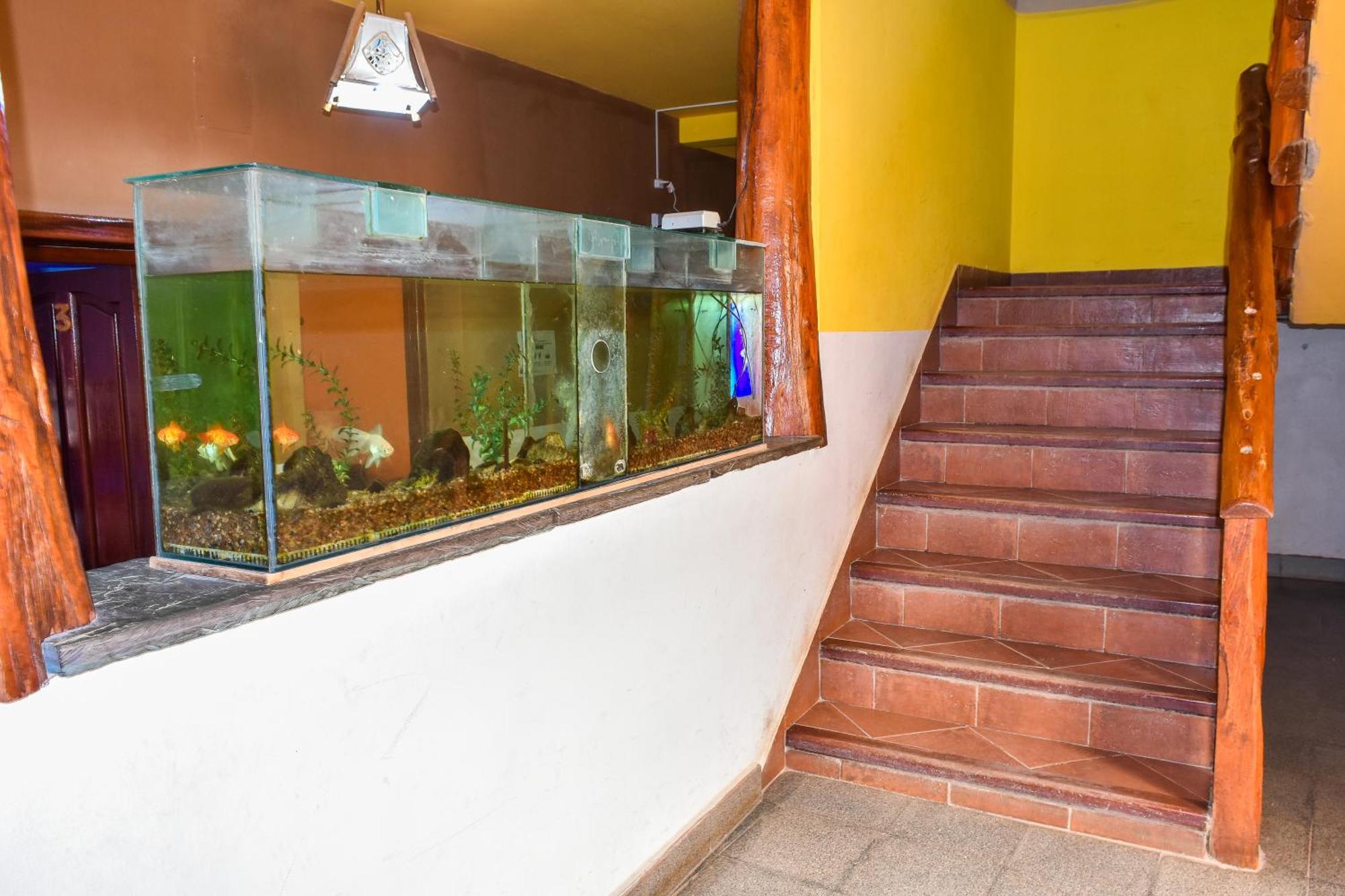 Hotel El Jardin Dante 틸카라 외부 사진